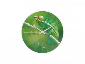 Часы настенные Nicole Time NT503 в Кыштовке - kyshtovka.mebel-nsk.ru | фото